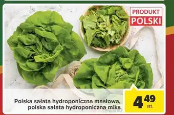 Carrefour Sałatka masłowa oferta