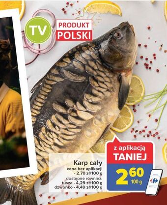 Carrefour Karp oferta