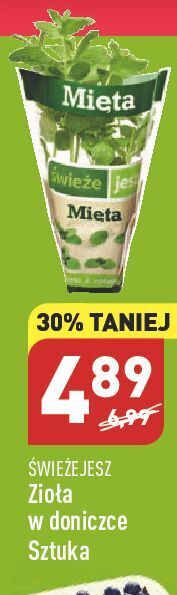 ALDI Mięta świeże jesz oferta
