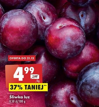 Biedronka Śliwki oferta