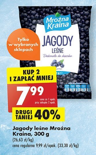 Biedronka Jagody leśne mroźna kraina oferta