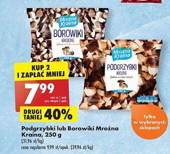 Biedronka Borowiki krojone mroźna kraina oferta