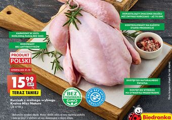Biedronka Kurczak z wolnego wybiegu kraina mięs nature oferta