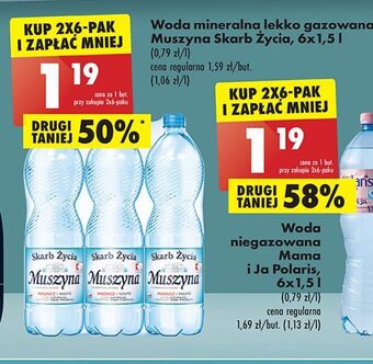 Biedronka Woda lekko gazowana muszyna skarb życia oferta