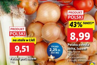 Lidl Cebula oferta