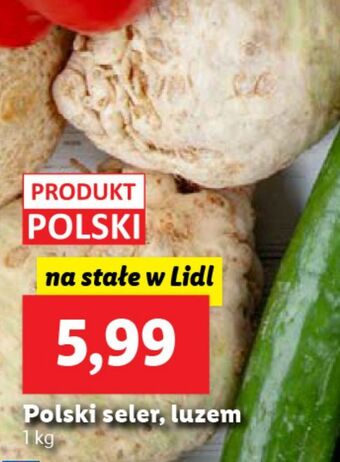 Lidl Seler oferta