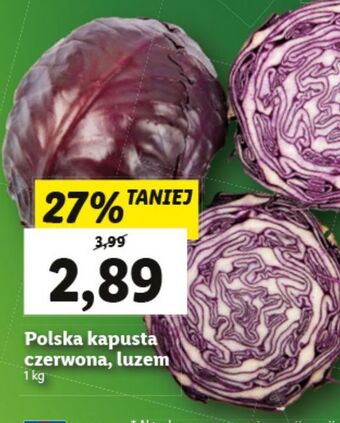 Lidl Kapusta czerwona oferta