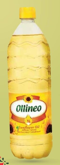 Netto Olej ollineo oferta