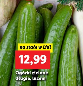 Lidl Ogórek oferta