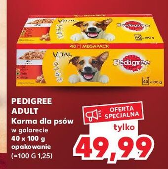 Kaufland Karma dla psa adult mix smaków pedigree oferta