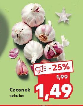 Kaufland Czosnek oferta
