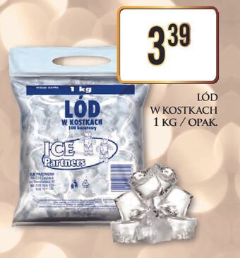 Dino Lód w kostkach ice partners oferta