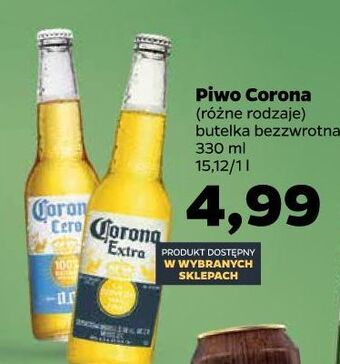 Netto Piwo corona extra oferta