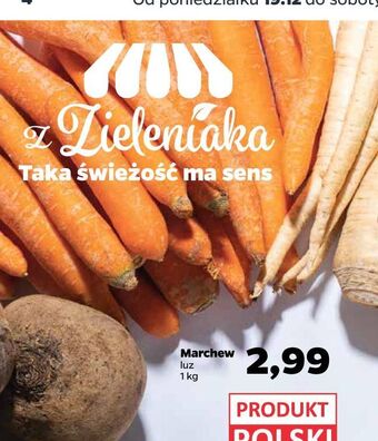 Netto Marchewka oferta