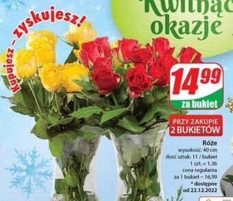 Dino Róża 40 cm oferta