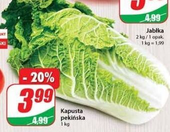 Dino Kapusta pekińska oferta