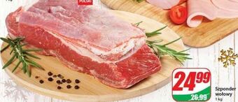 Dino Szponder wołowy agro rydzyna oferta