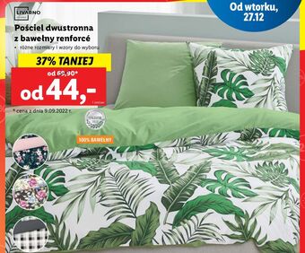 Lidl Komplet pościeli dwustronnej z bawełną renforce 160 x 200 cm + 2 70 80 livarno home oferta