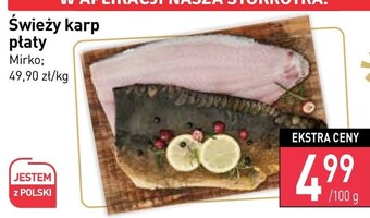 Stokrotka Karp mirko oferta