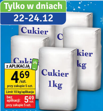 Stokrotka Optima Cukier oferta