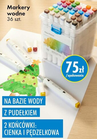 Tedi Markery tedi oferta