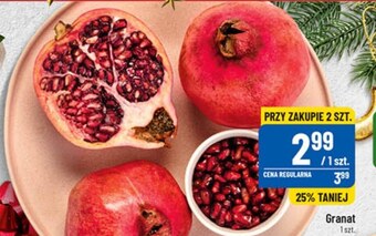 Polomarket Granat oferta