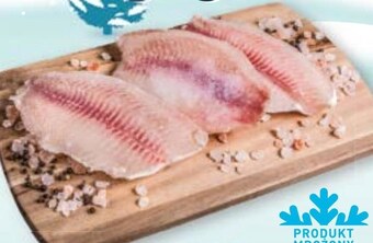 Stokrotka Tilapia oferta