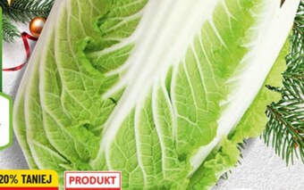 Polomarket Kapusta pekińska oferta