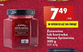 Biedronka Borówka nasza spiżarnia oferta