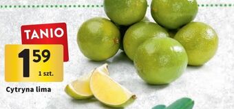 Intermarche Limonka oferta