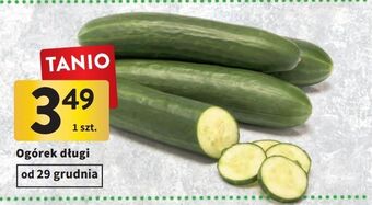 Intermarche Ogórek długi oferta