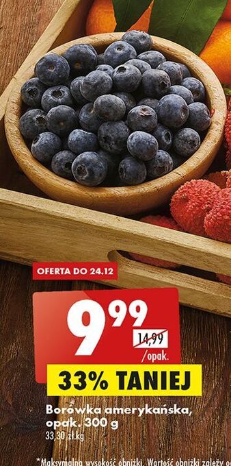 Biedronka Borówki amerykańskie oferta