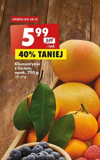 Biedronka Klementynki oferta
