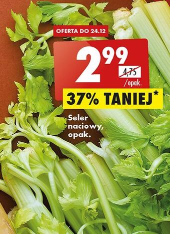 Biedronka Seler naciowy oferta
