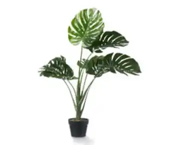 Tchibo Sztuczna roślina monstera oferta