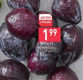 Stokrotka Market Kapusta czerwona oferta