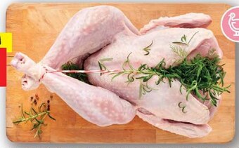 Lidl Indyk oferta
