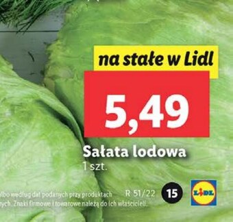 Lidl Sałata oferta