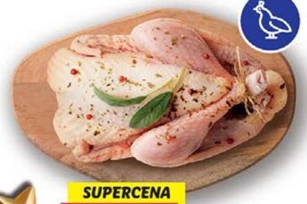 Lidl Perliczka oferta