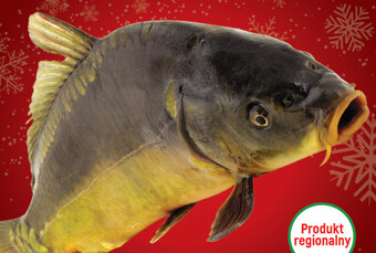 E.Leclerc Karp oferta