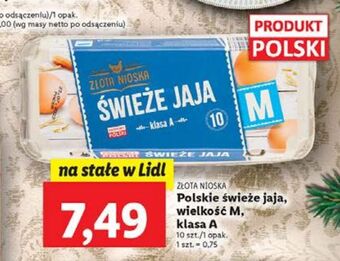 Lidl Jaja świeże kl. m złota nioska oferta