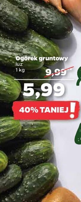 Netto Ogórki gruntowe oferta