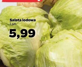 Netto Sałata lodowa oferta