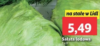 Lidl Sałata lodowa oferta