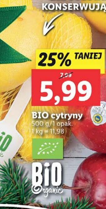 Lidl Cytryny bio oferta