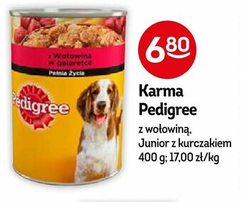 Żabka Karma Pedigree oferta