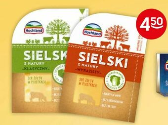 Żabka Ser Sielski oferta