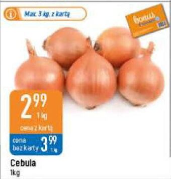 E.Leclerc Cebula oferta