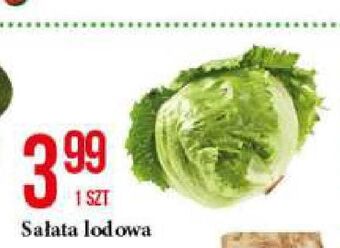 E.Leclerc Sałata lodowa oferta