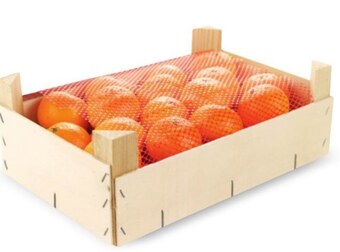 Makro Mandarynki oferta